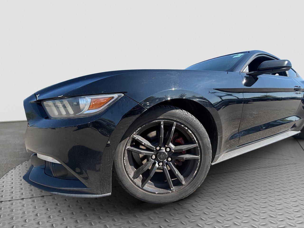 2017 Ford Mustang EcoBoost Photo