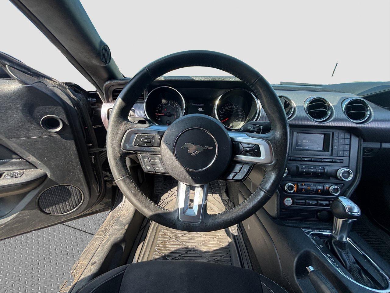 2017 Ford Mustang EcoBoost Photo