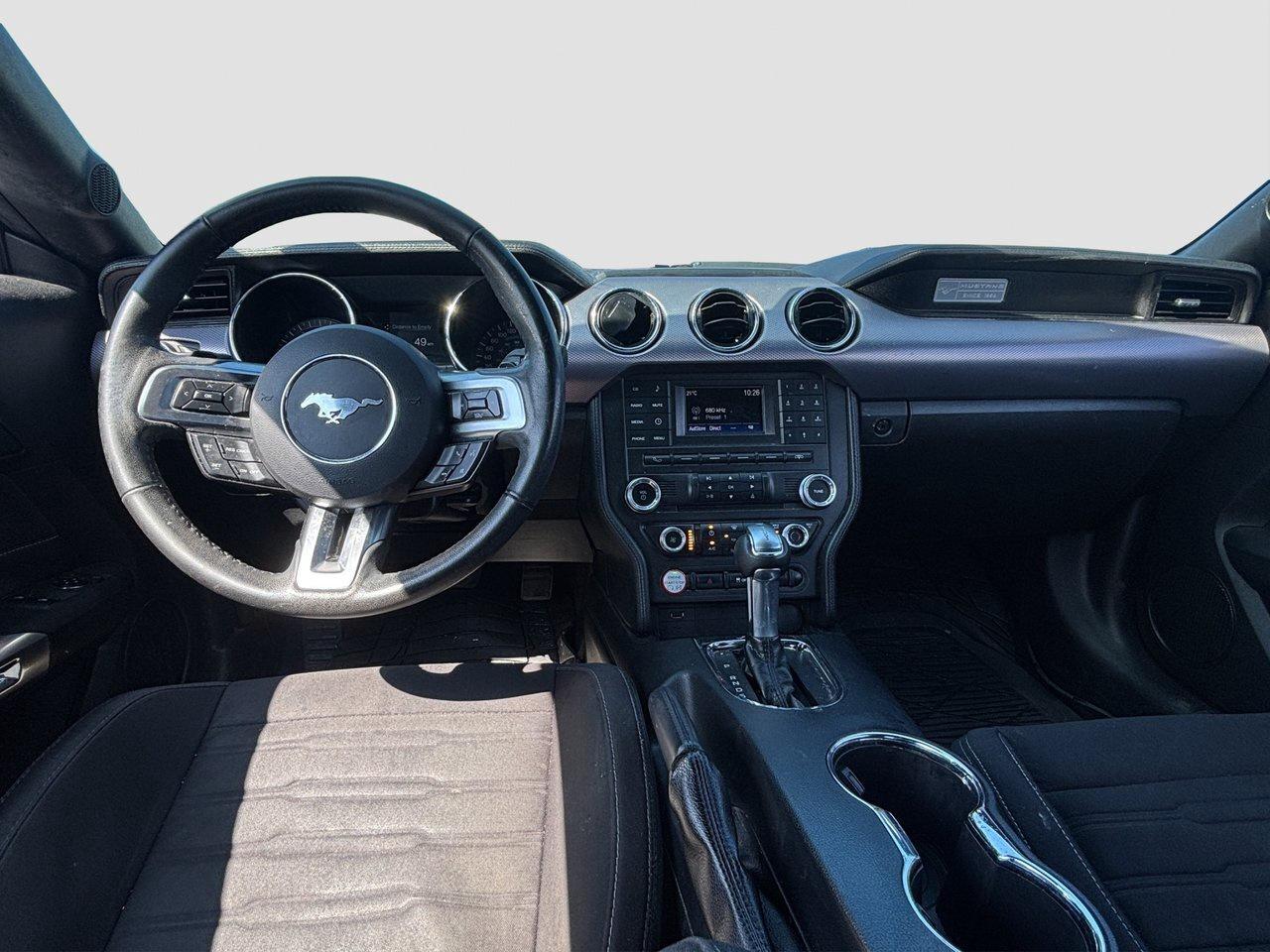 2017 Ford Mustang EcoBoost Photo