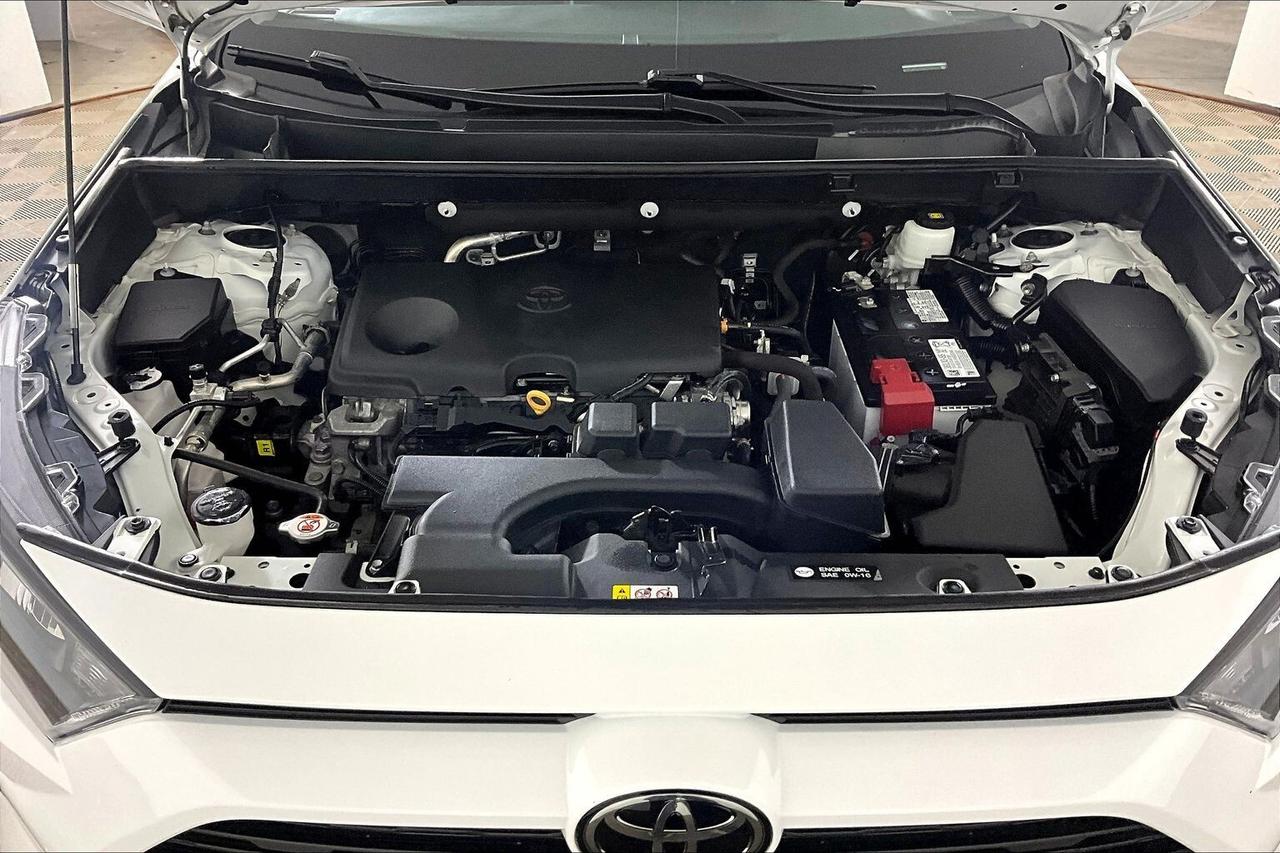 2023 Toyota RAV4 LE AWD Photo