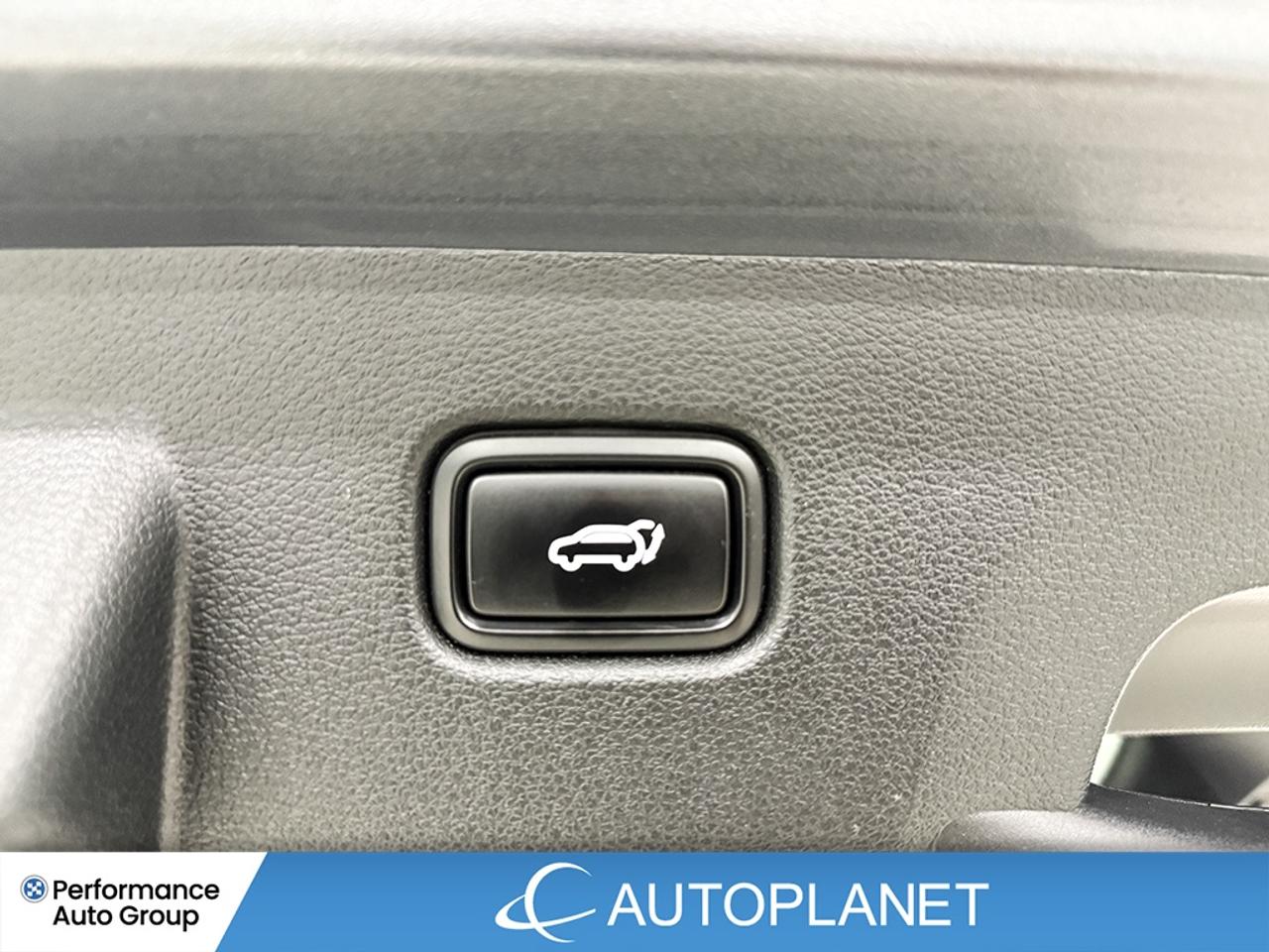 2023 Kia Sportage X-Line Limited AWD, Heated Seats, Android Auto! Photo
