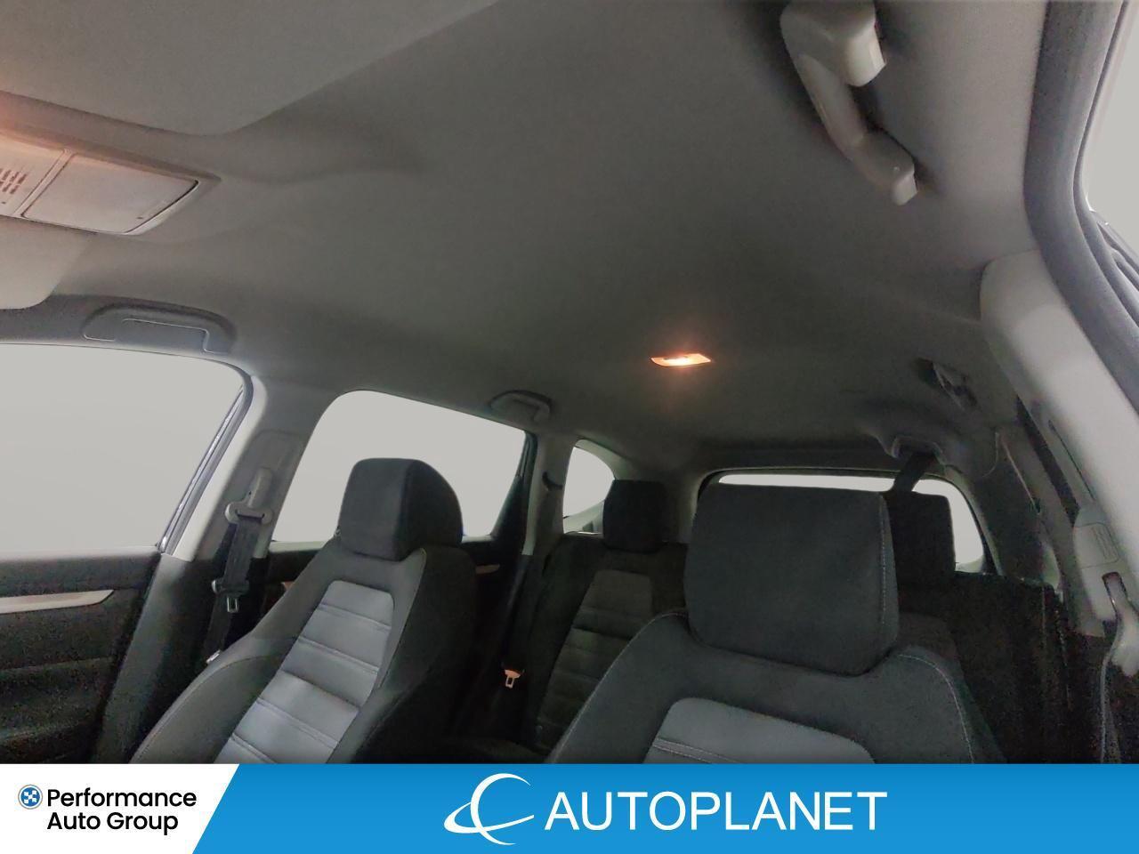 2021 Honda CR-V LX AWD, Heated Seats, Apple CarPlay, Honda Sensing Photo