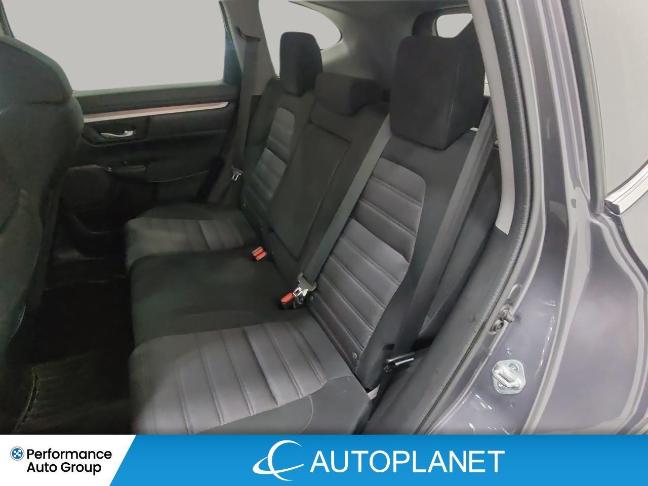 2021 Honda CR-V LX AWD, Heated Seats, Apple CarPlay, Honda Sensing Photo