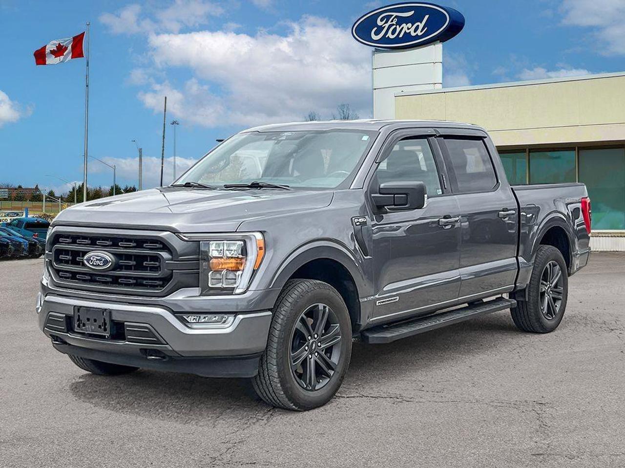 2022 Ford F-150 XLT   HYBRID   TRLR TOW PKG   NAV Photo