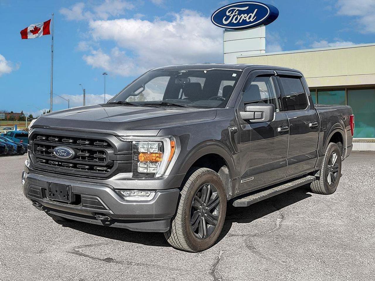 2022 Ford F-150 XLT   HYBRID   TRLR TOW PKG   NAV Photo