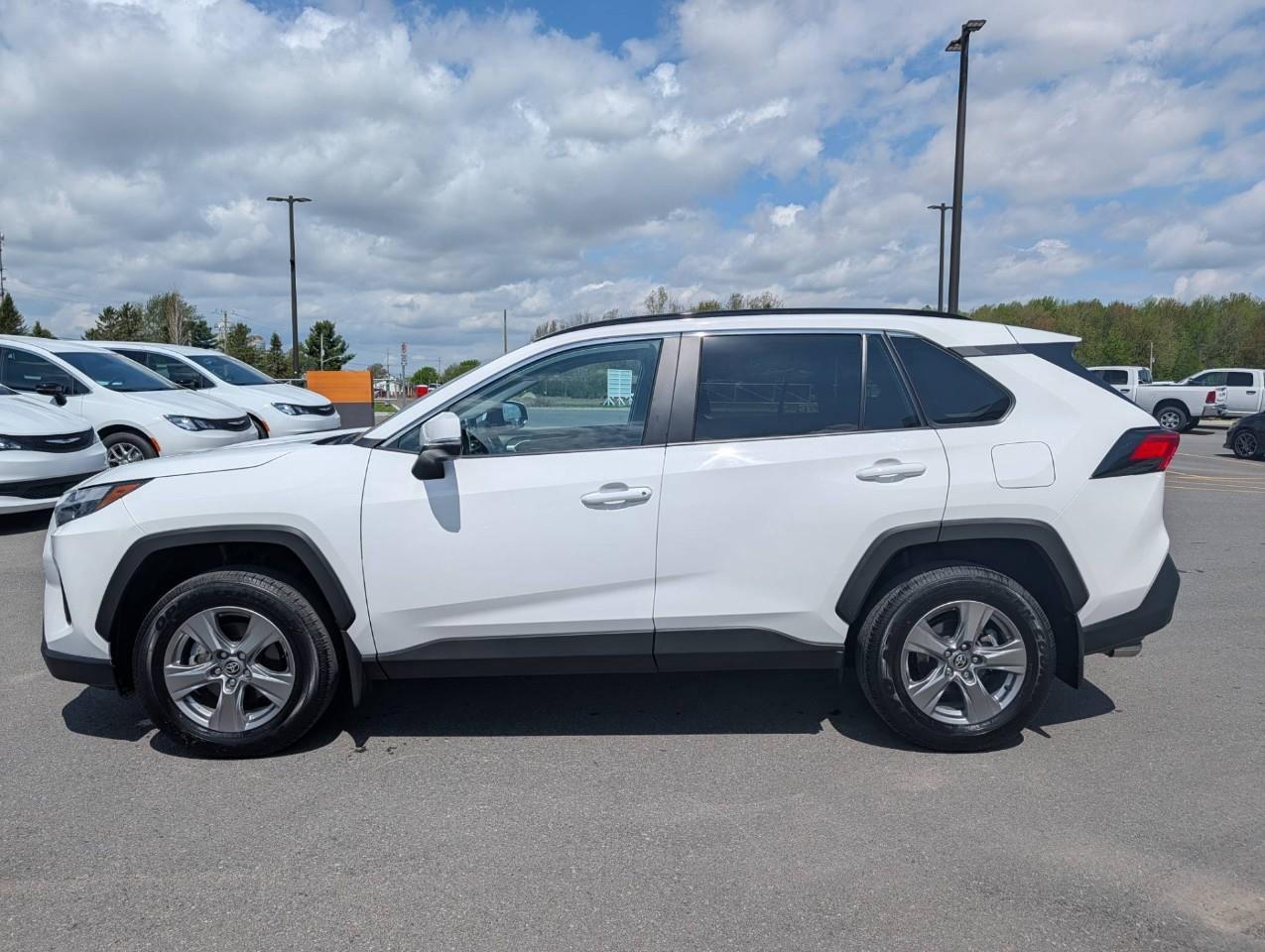 2025 Toyota RAV4 XLE No Accidents Photo