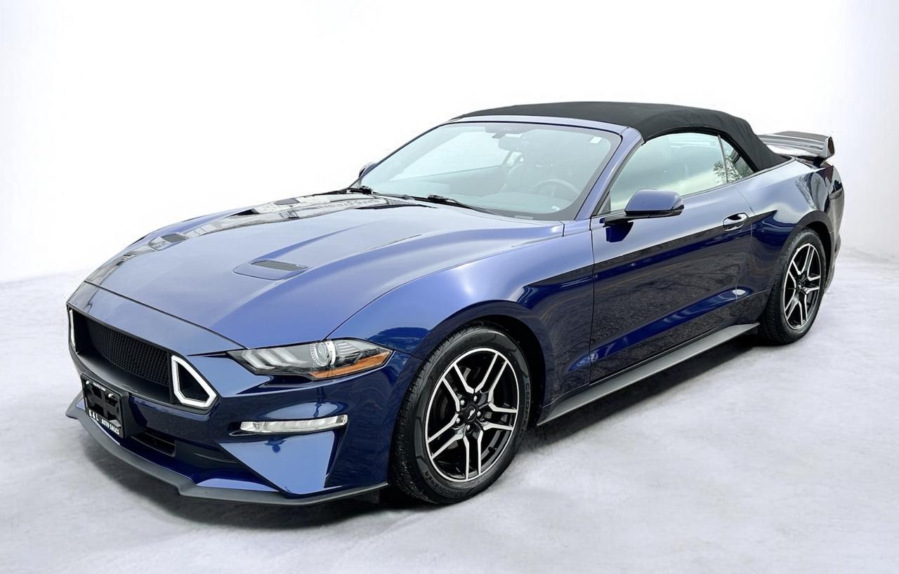 2019 Ford Mustang EcoBoost Convertible ~ LEATHER ~ CARPLAY ~ CERTIFI Photo