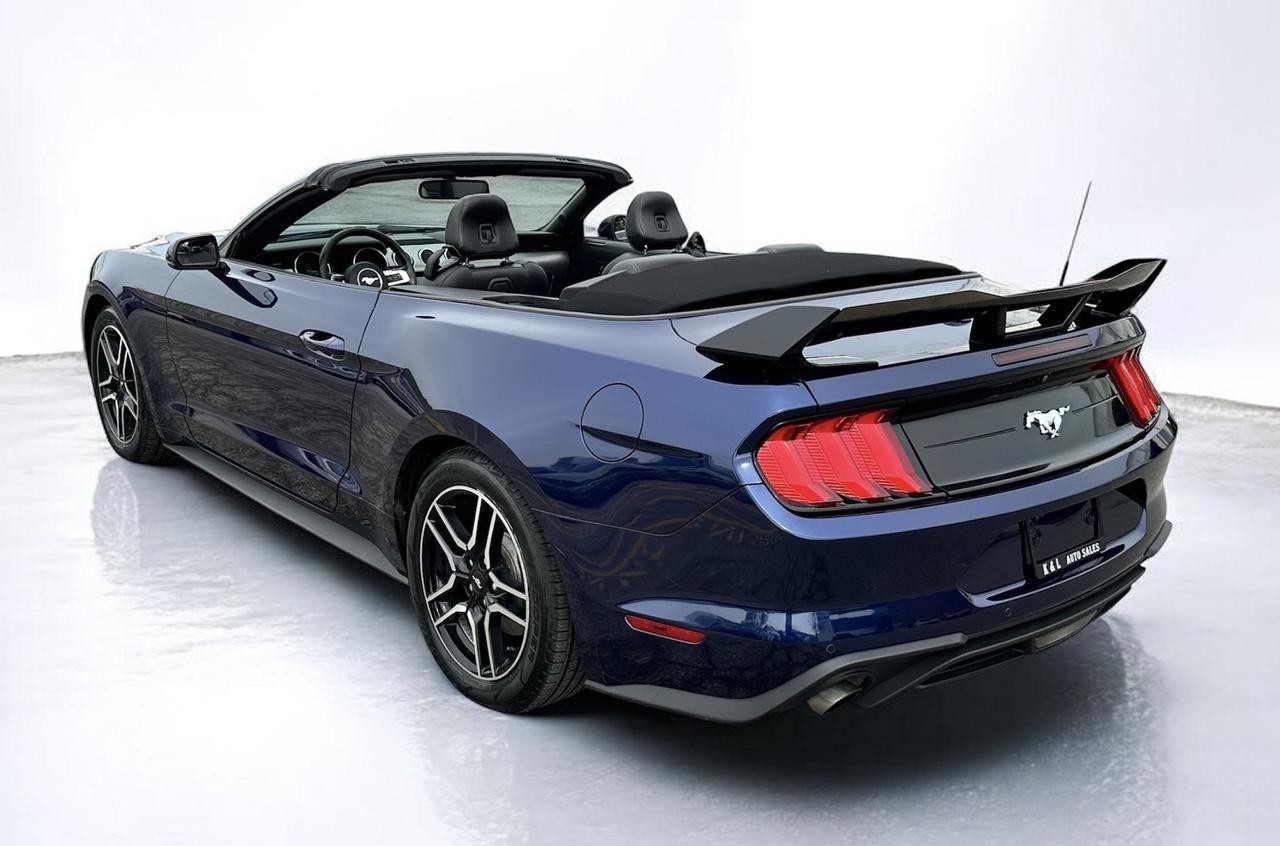 2019 Ford Mustang EcoBoost Convertible ~ LEATHER ~ CARPLAY ~ CERTIFI Photo