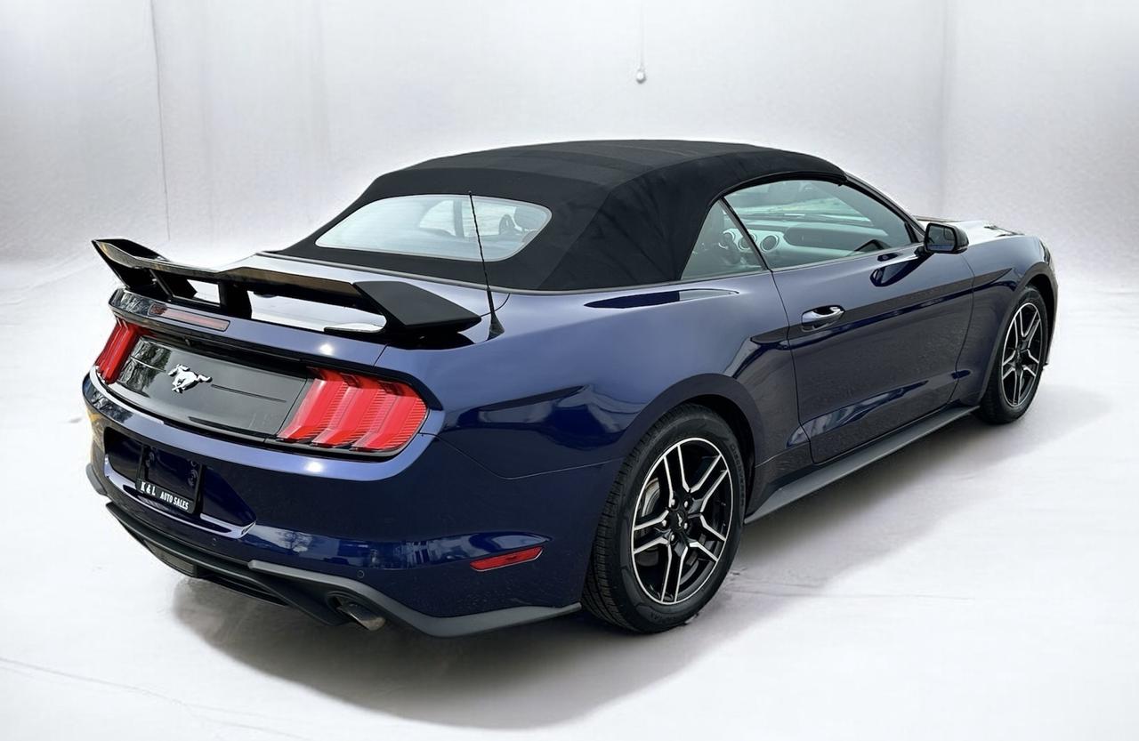 2019 Ford Mustang EcoBoost Convertible ~ LEATHER ~ CARPLAY ~ CERTIFI Photo