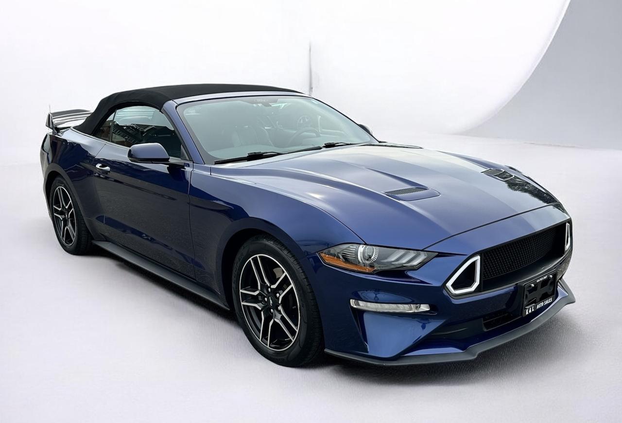 2019 Ford Mustang EcoBoost Convertible ~ LEATHER ~ CARPLAY ~ CERTIFI Photo4