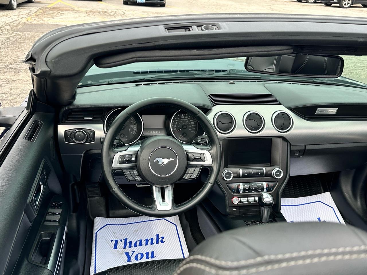 2019 Ford Mustang EcoBoost Convertible ~ LEATHER ~ CARPLAY ~ CERTIFI Photo