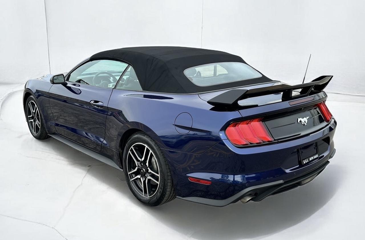 2019 Ford Mustang EcoBoost Convertible ~ LEATHER ~ CARPLAY ~ CERTIFI Photo