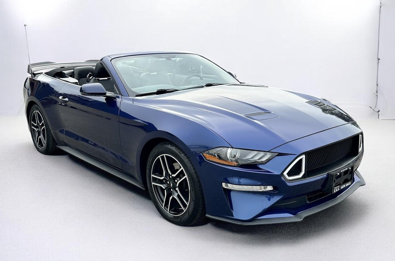2019 Ford Mustang EcoBoost Convertible ~ LEATHER ~ CARPLAY ~ CERTIFI Photo