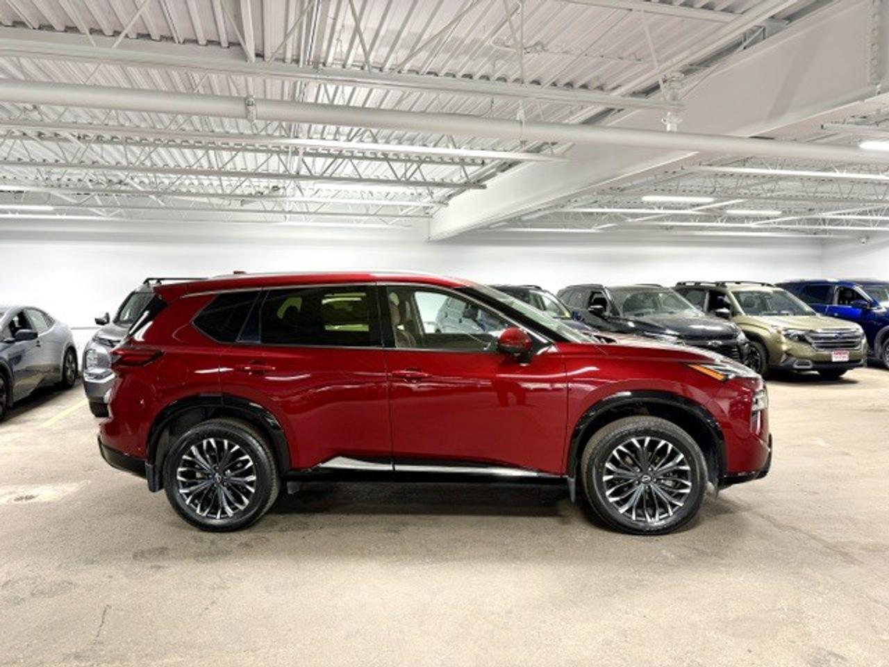 2025 Nissan Rogue PLATINUM, HUD, DIGITAL DASH, BOSE, PRO-PILOT, XM Photo