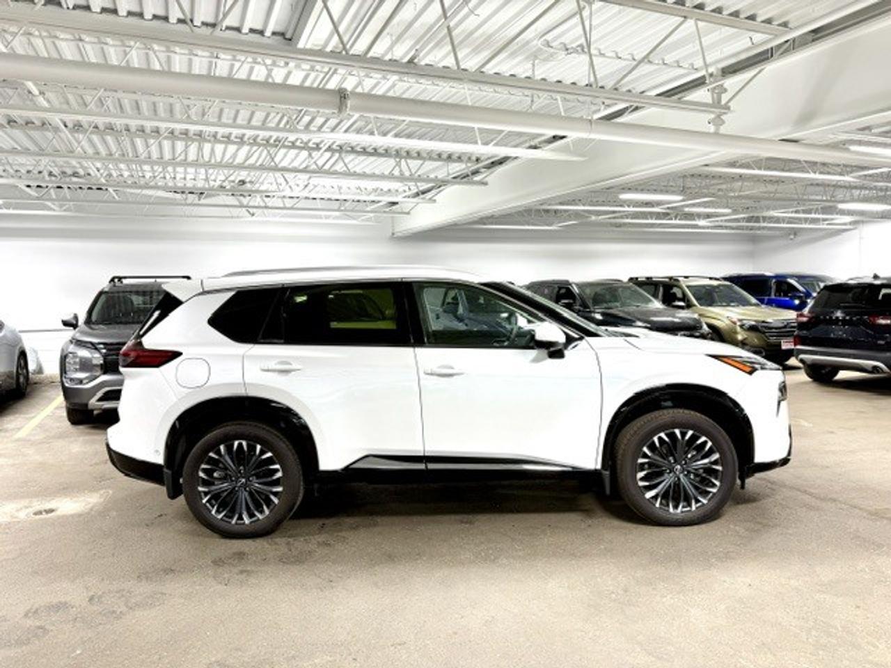 2025 Nissan Rogue PLATINUM, HUD, DIGITAL DASH, BOSE, PRO-PILOT, XM Photo