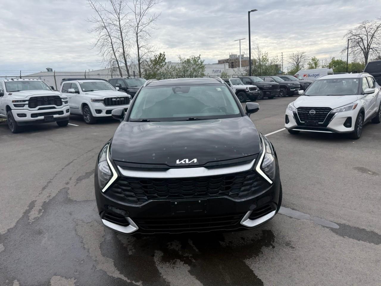2024 Kia Sportage  Photo