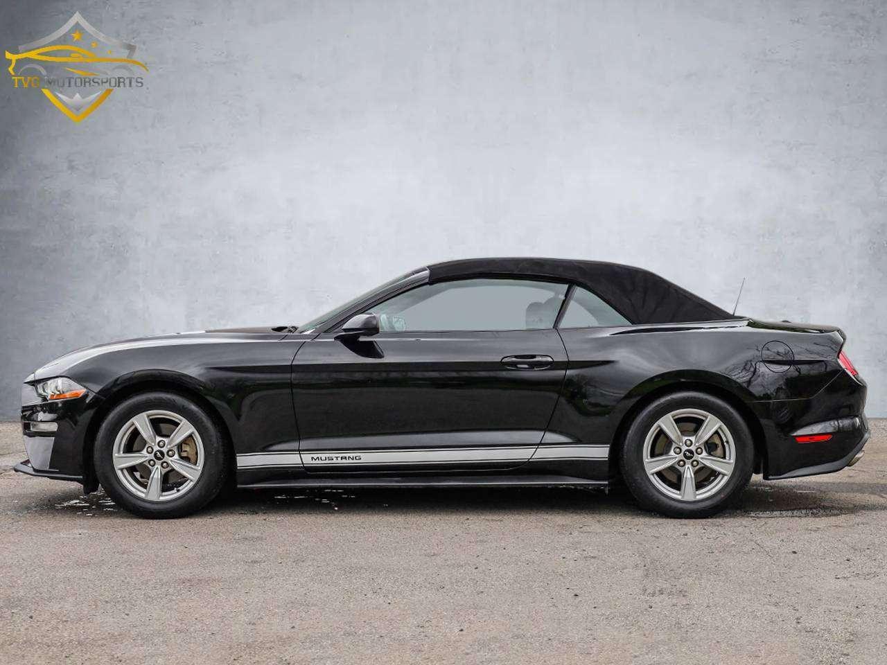 2020 Ford Mustang EcoBoost Photo