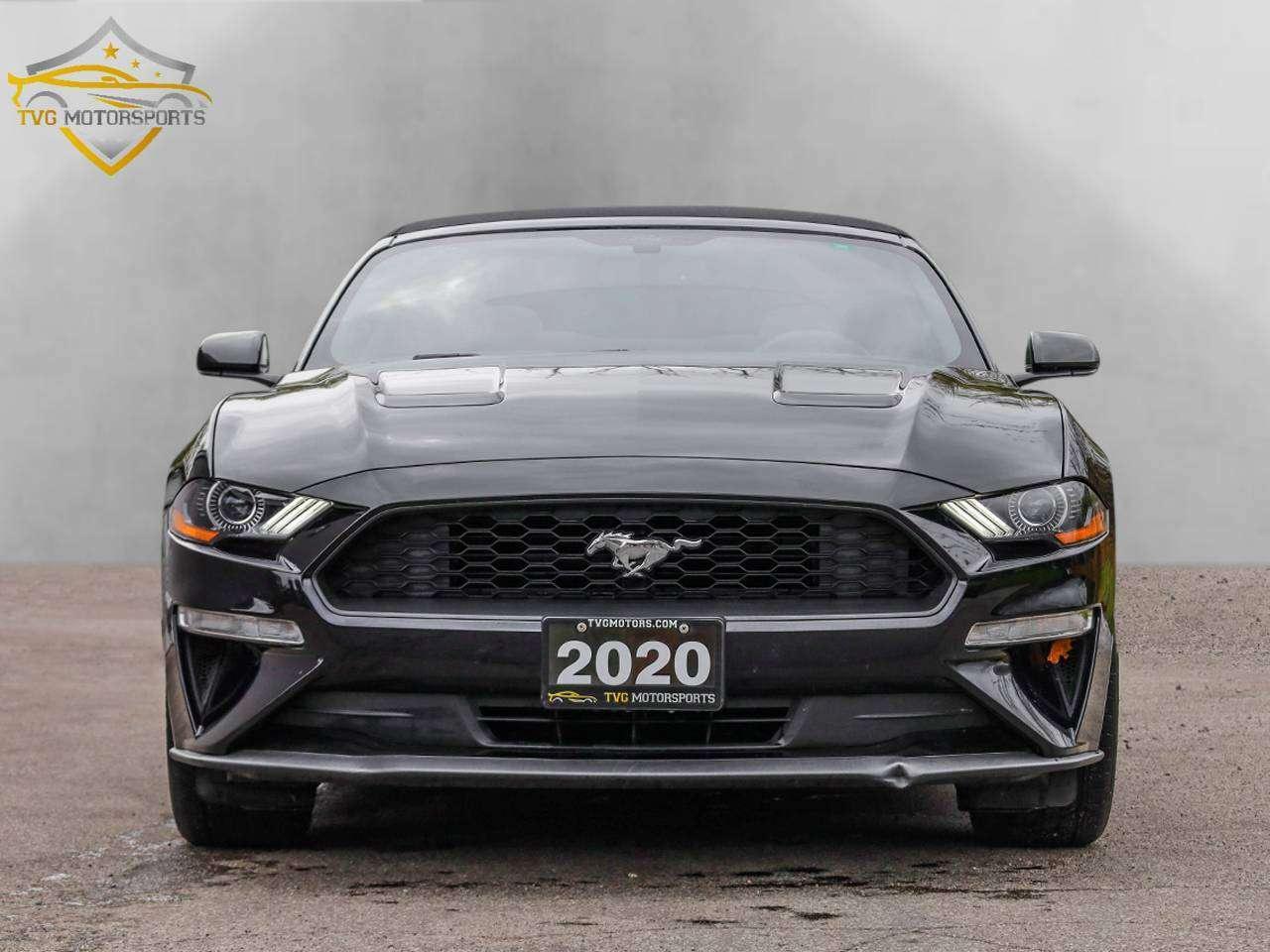 2020 Ford Mustang EcoBoost Photo