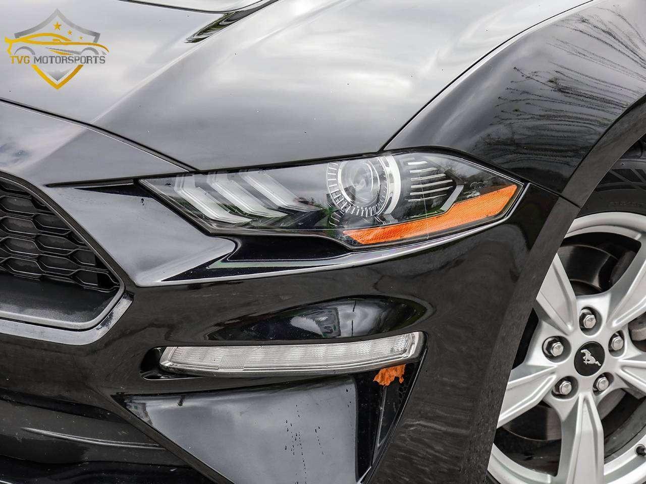 2020 Ford Mustang EcoBoost Photo