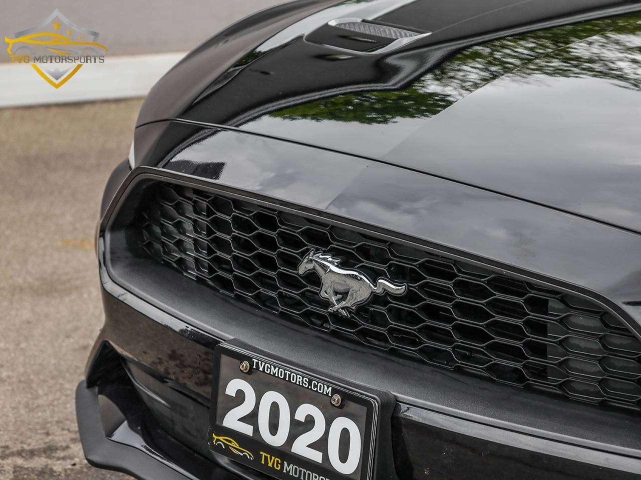 2020 Ford Mustang EcoBoost Photo