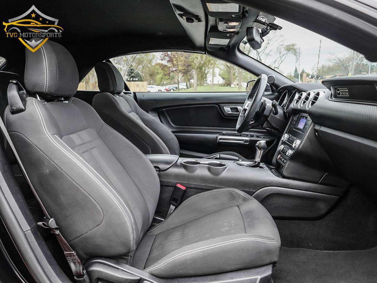 2020 Ford Mustang EcoBoost Photo