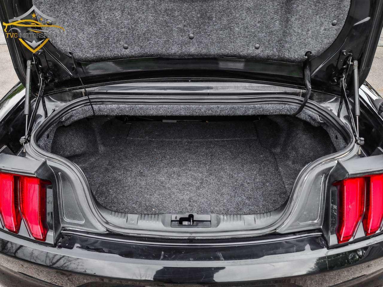 2020 Ford Mustang EcoBoost Photo