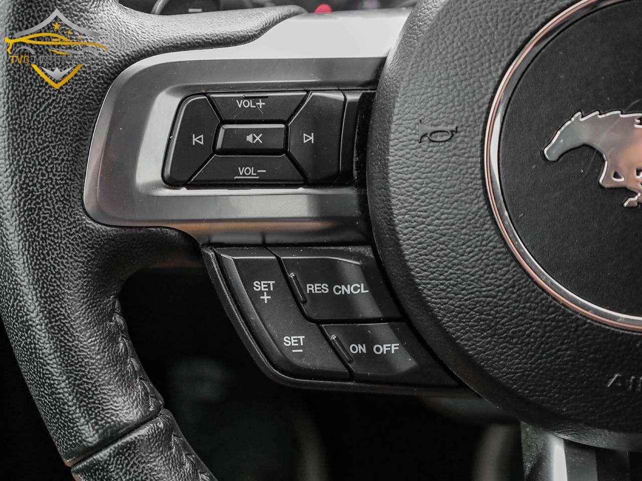 2020 Ford Mustang EcoBoost Photo