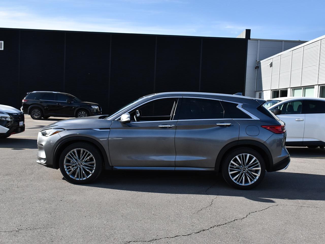 2024 Infiniti QX50 Sensory  - HUD -  Sunroof -  Navigation Photo2