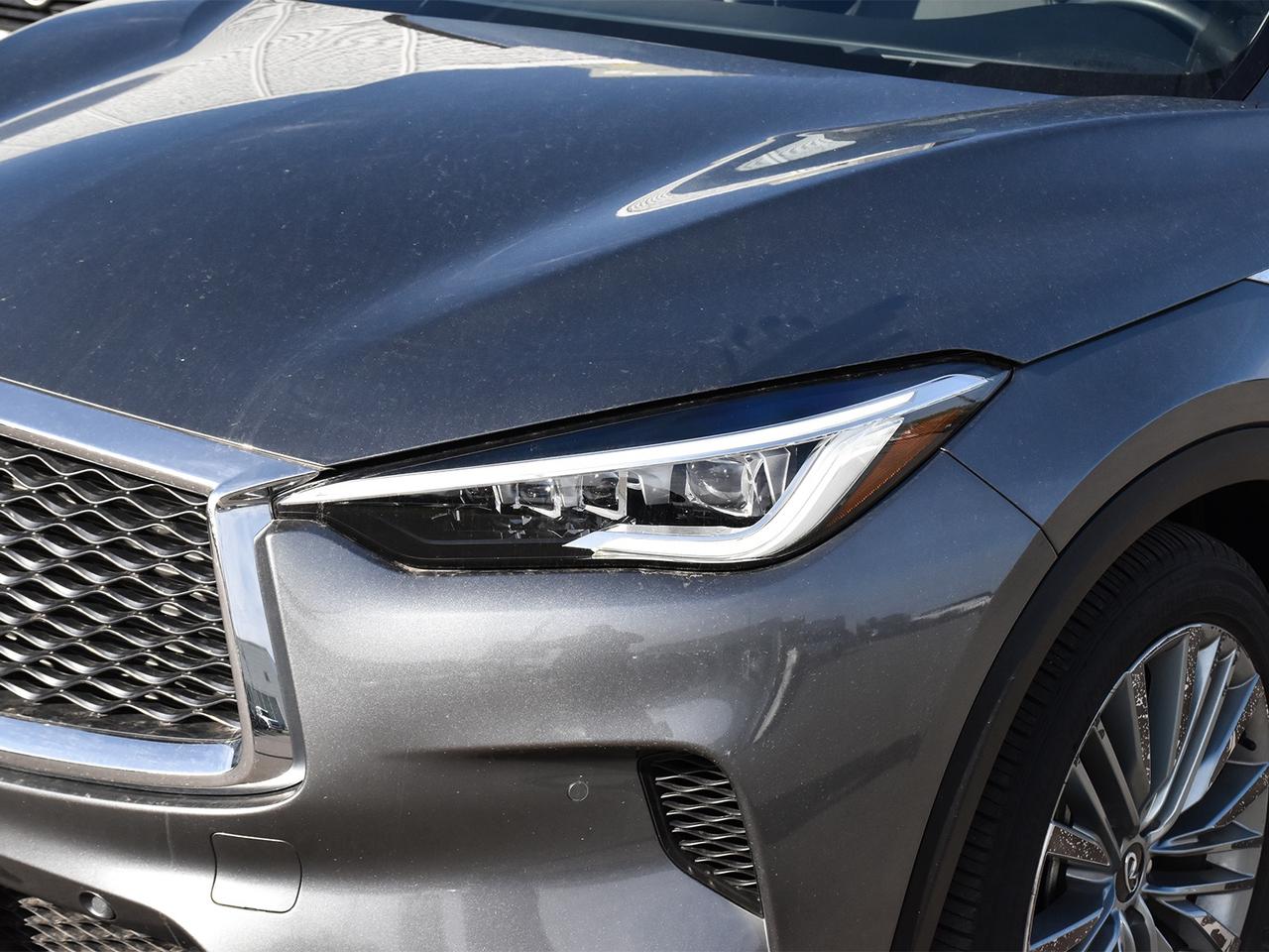 2024 Infiniti QX50 Sensory  - HUD -  Sunroof -  Navigation Photo