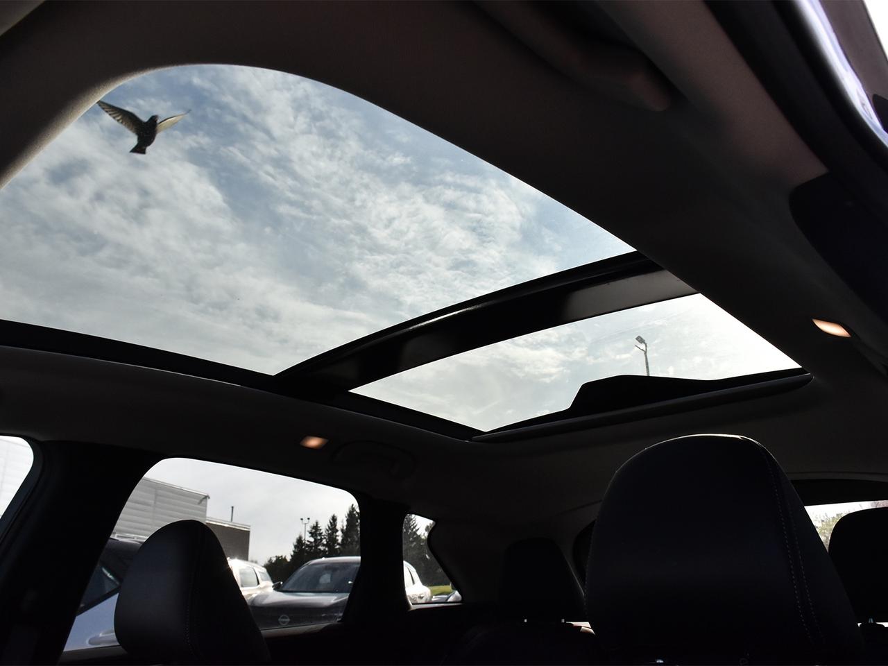 2024 Infiniti QX50 Sensory  - HUD -  Sunroof -  Navigation Photo