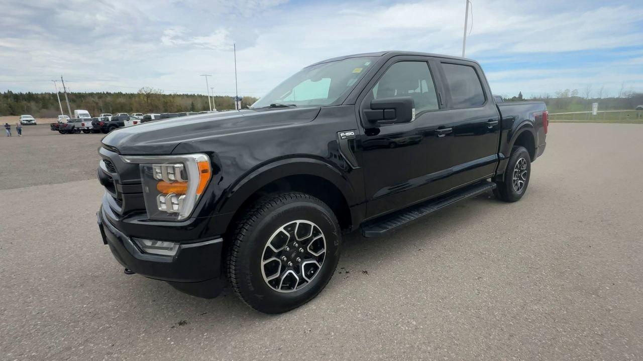 2021 Ford F-150 XLT Photo