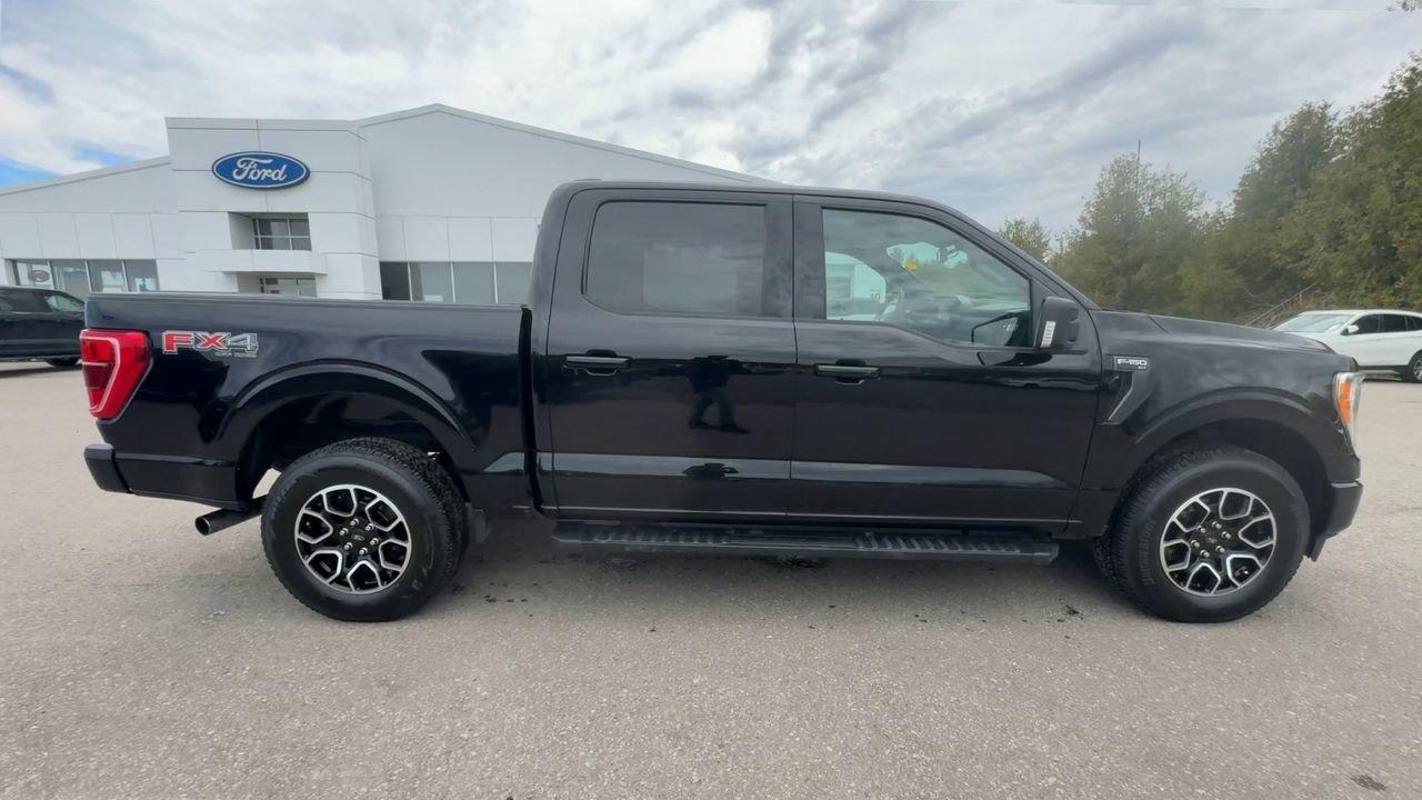 2021 Ford F-150 XLT Photo