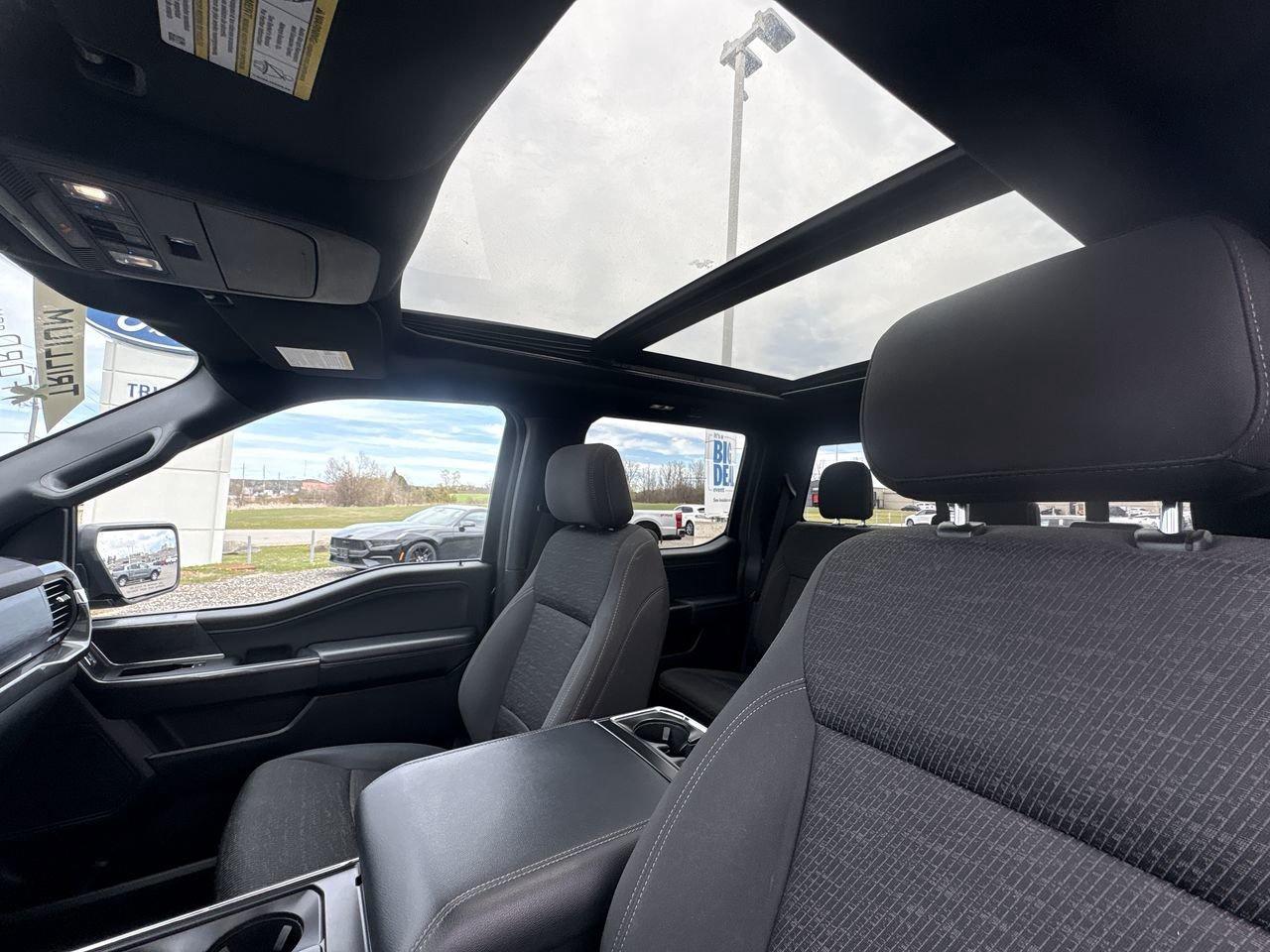 2021 Ford F-150 XLT Photo