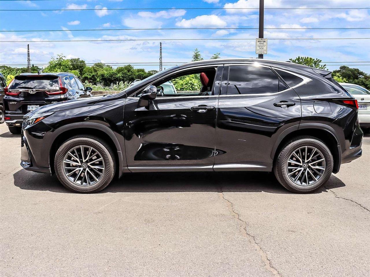 2025 Lexus NX PREMIUM AWD 2.4L TURBO NAVI ADAPTIVE CRUISE Photo
