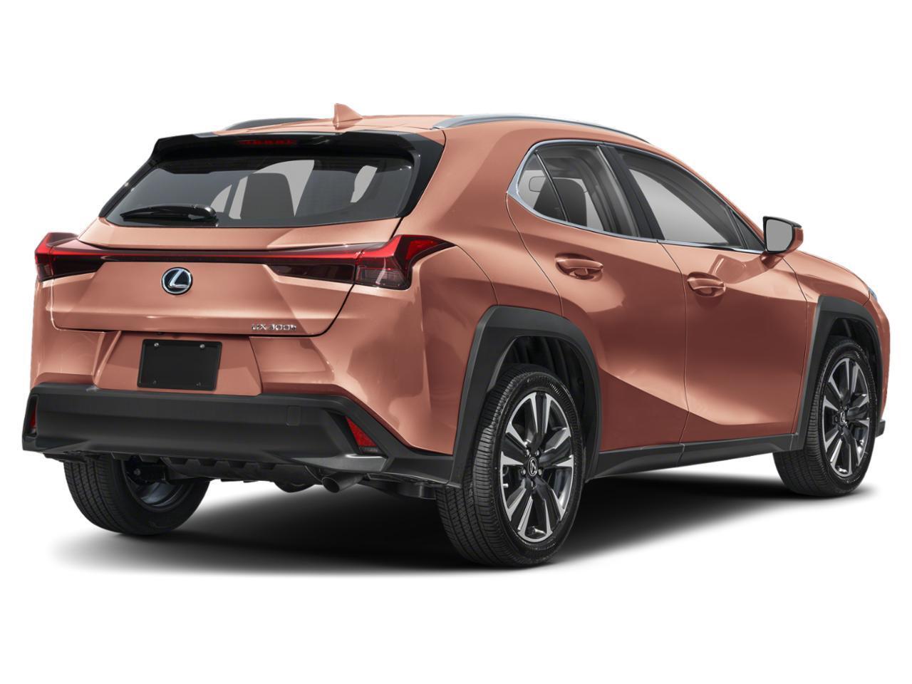 2026 Lexus UX UX 300h AWD Photo