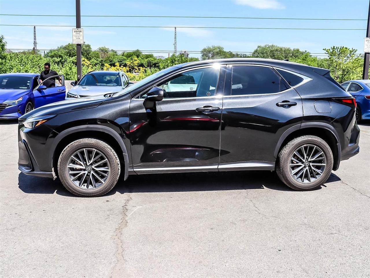 2024 Lexus NX 350h Premium Pkg Sunroof Apple Carplay Photo4