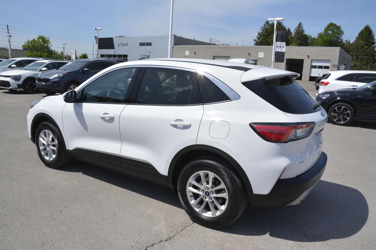 2020 Ford Escape SE Photo
