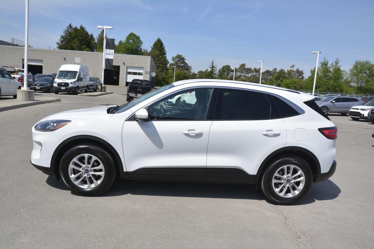 2020 Ford Escape SE Photo