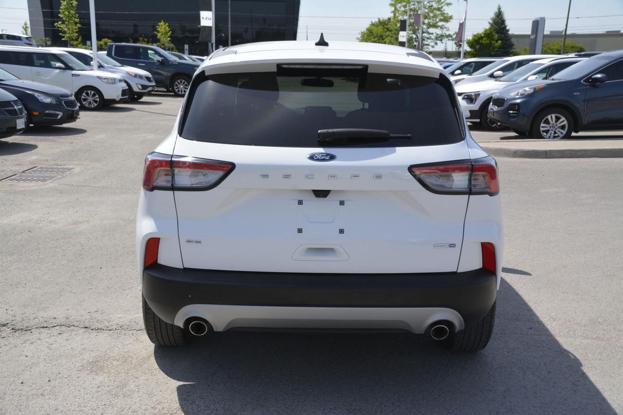 2020 Ford Escape SE Photo