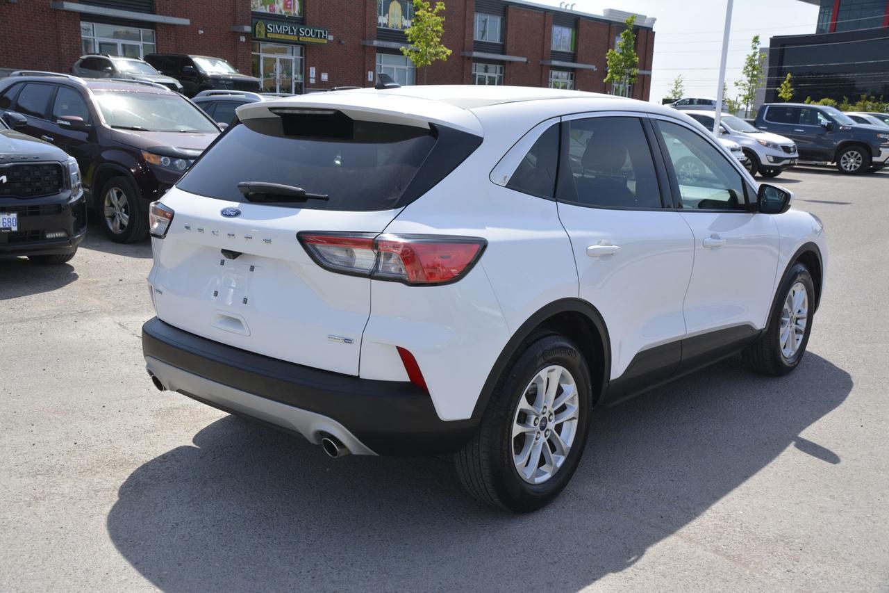 2020 Ford Escape SE Photo