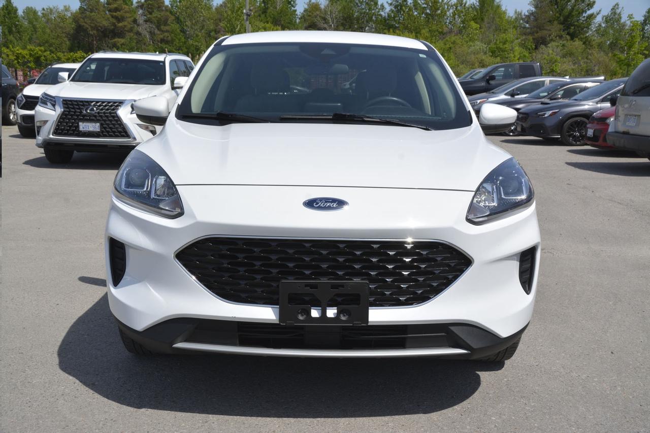 2020 Ford Escape SE Photo