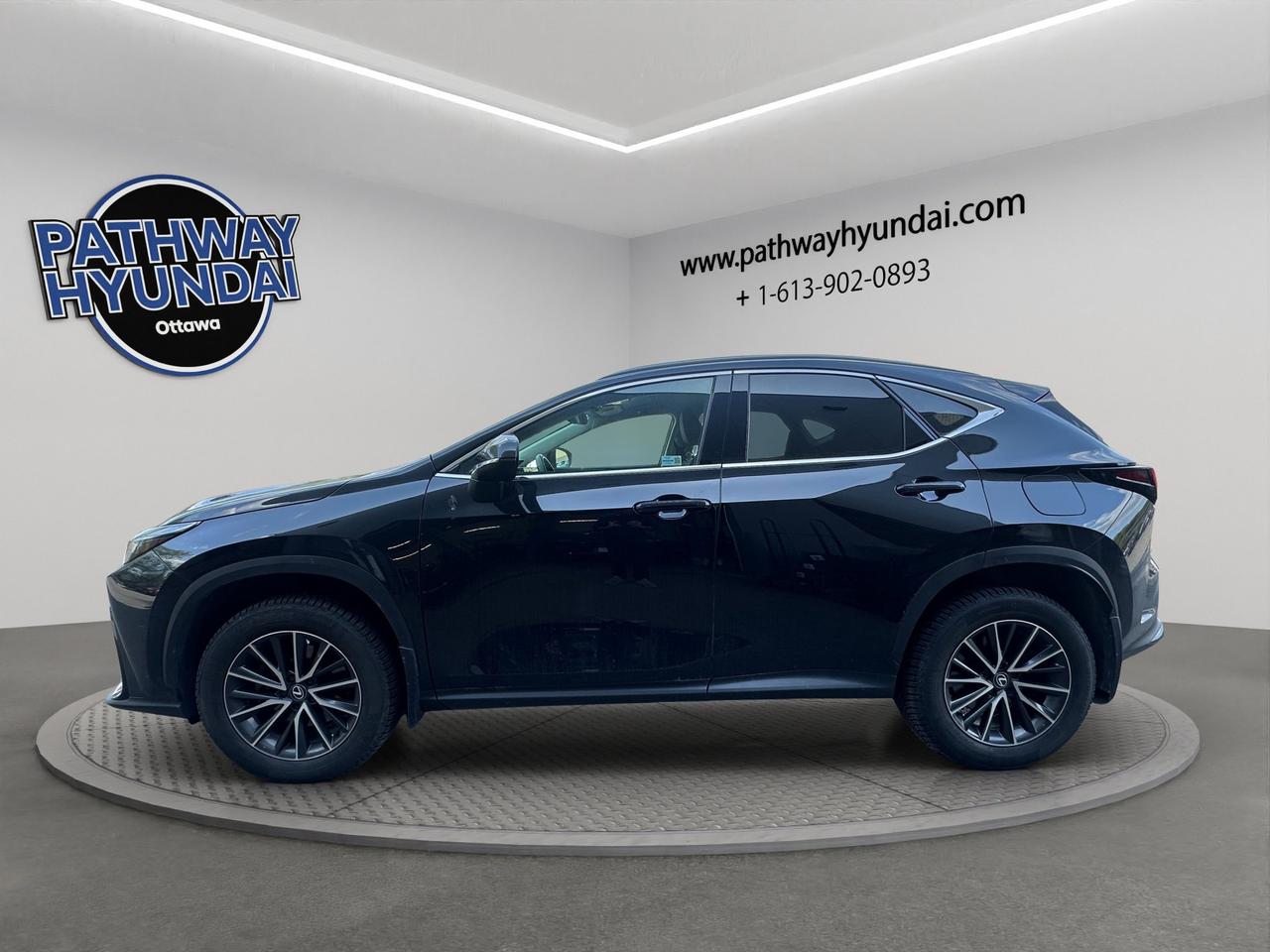 2024 Lexus NX NX 250 | Reverse Cam | Heated Seats Photo