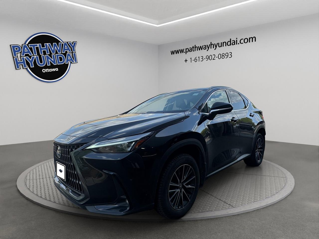 2024 Lexus NX NX 250 | Reverse Cam | Heated Seats Photo