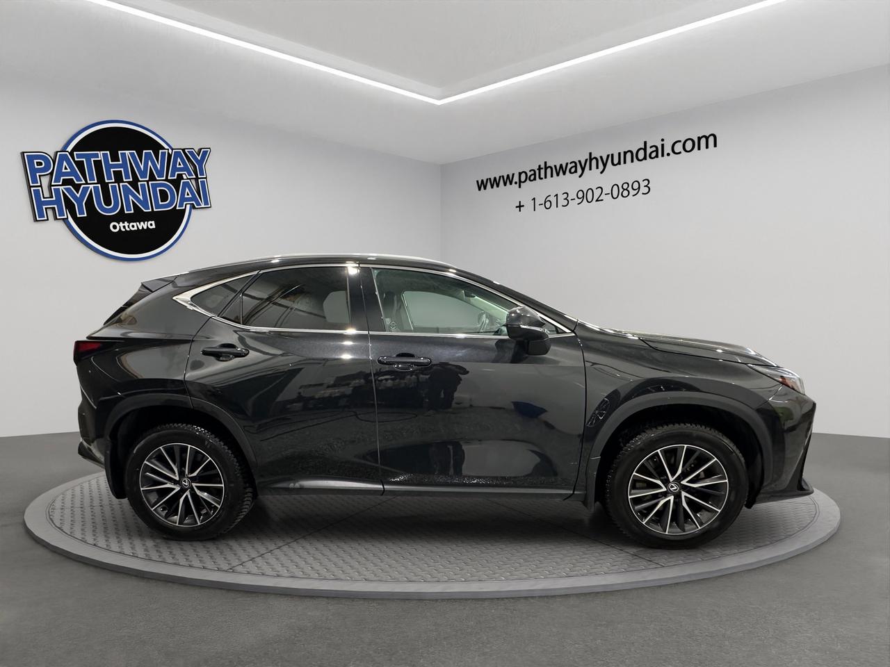 2024 Lexus NX NX 250 | Reverse Cam | Heated Seats Photo