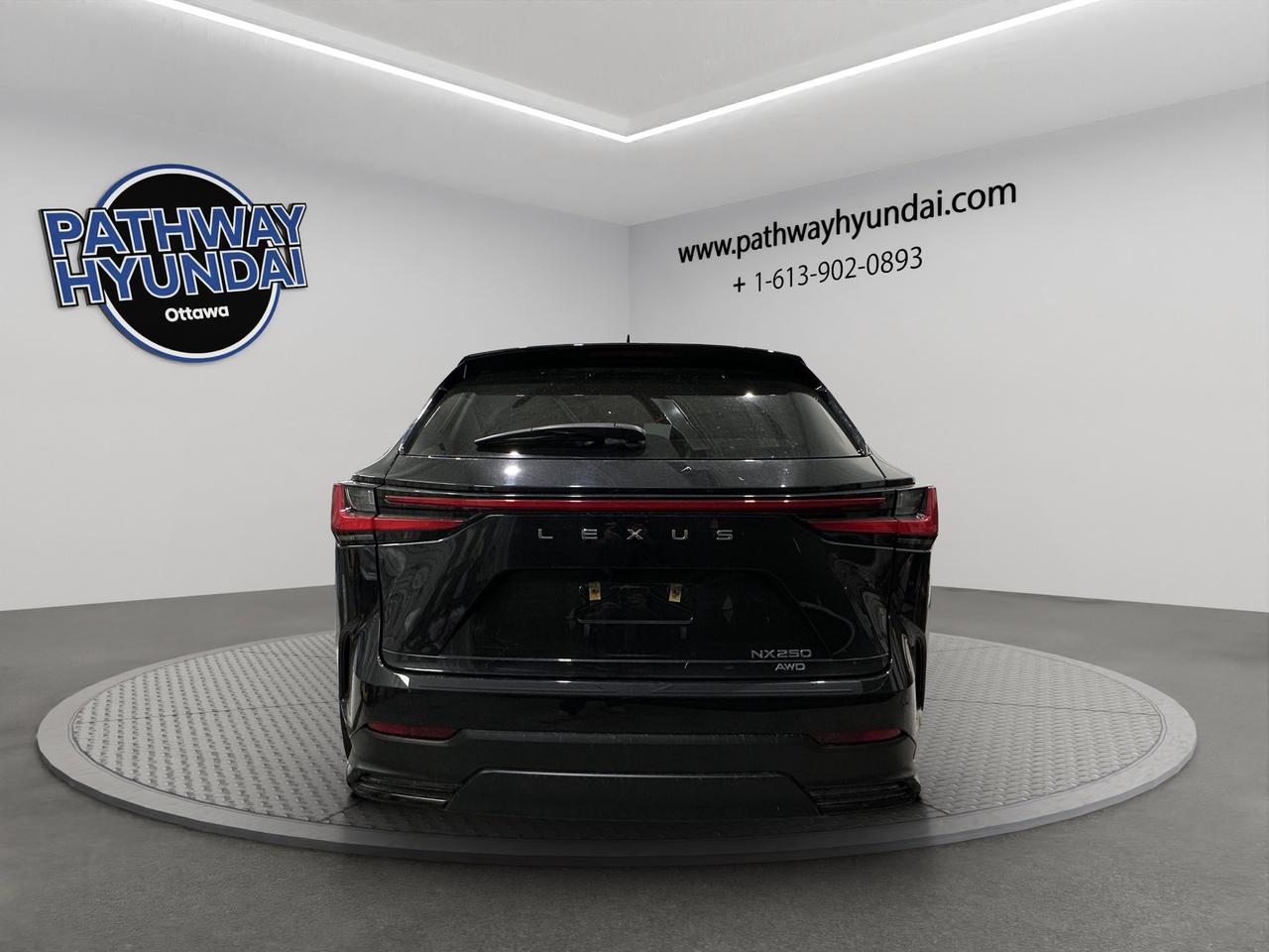 2024 Lexus NX NX 250 | Reverse Cam | Heated Seats Photo