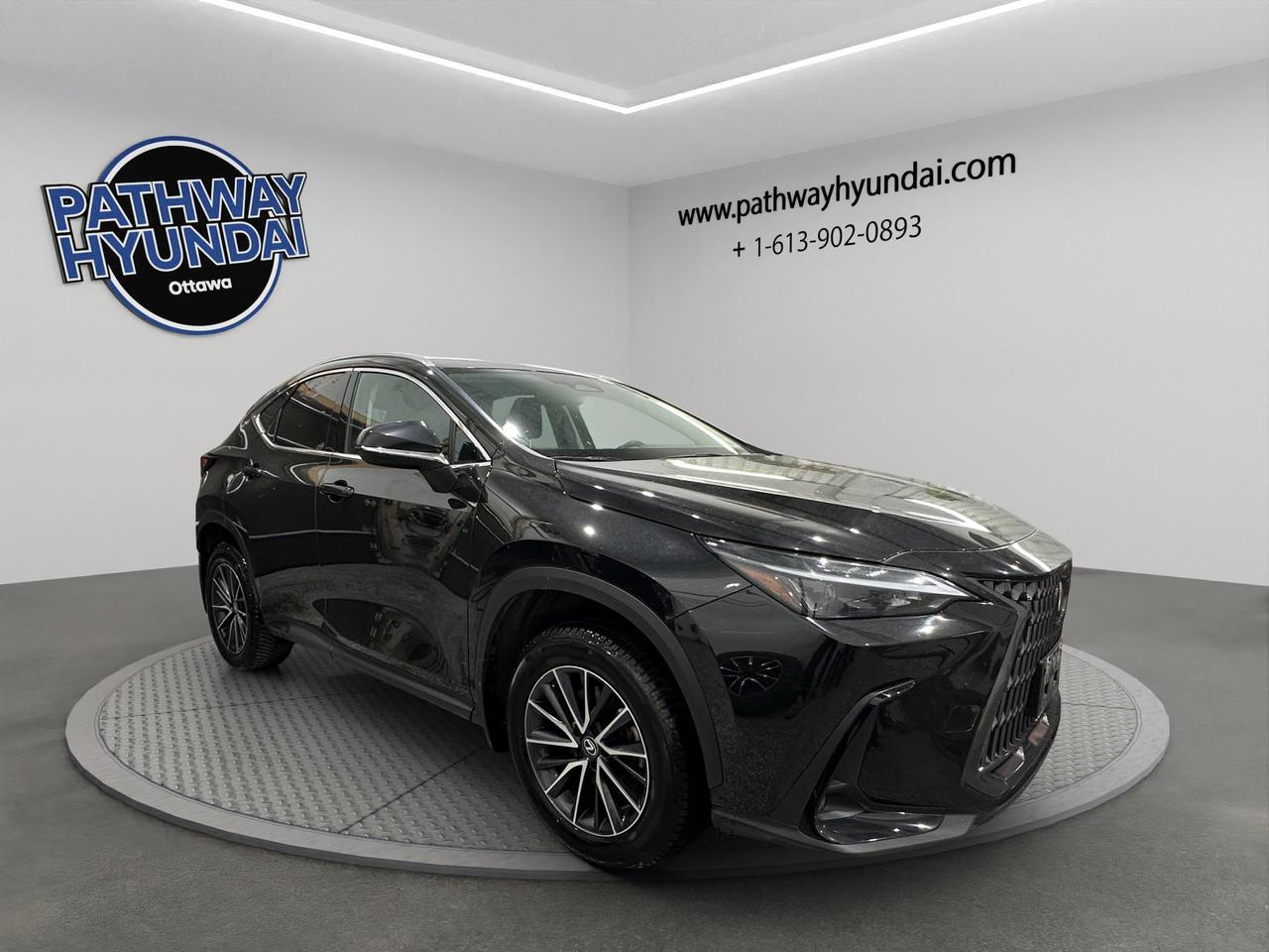 2024 Lexus NX NX 250 | Reverse Cam | Heated Seats Photo