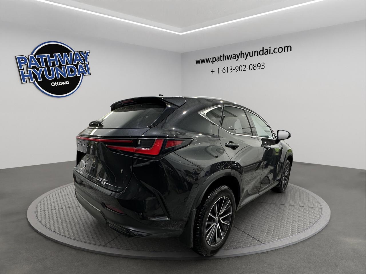 2024 Lexus NX NX 250 | Reverse Cam | Heated Seats Photo