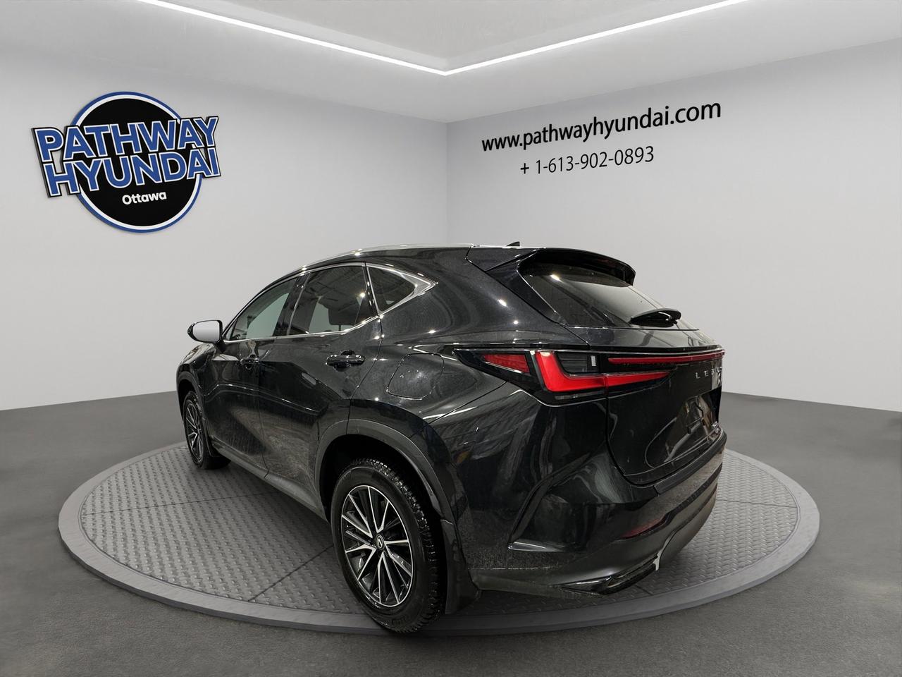 2024 Lexus NX NX 250 | Reverse Cam | Heated Seats Photo
