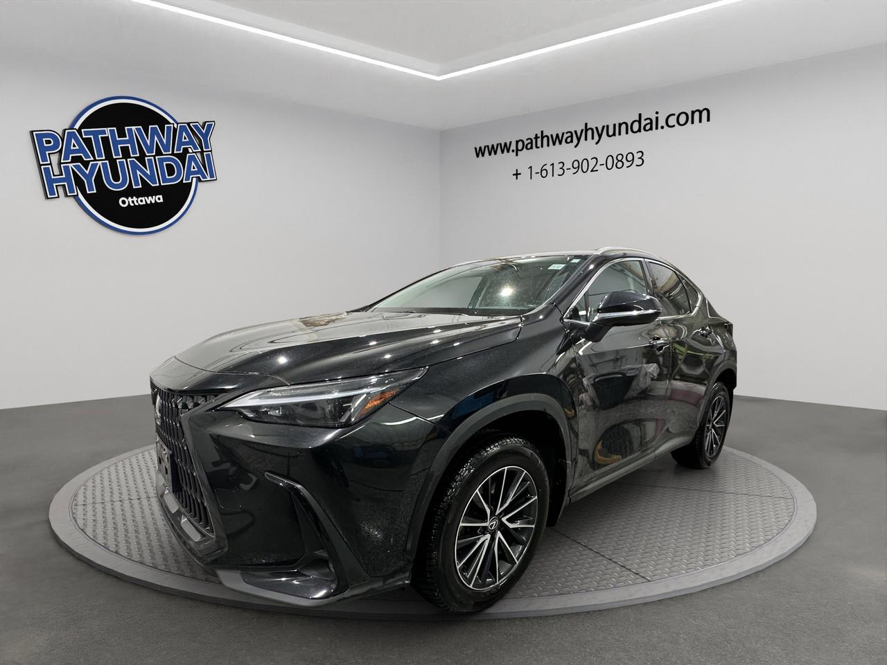 2024 Lexus NX NX 250 | Reverse Cam | Heated Seats Photo