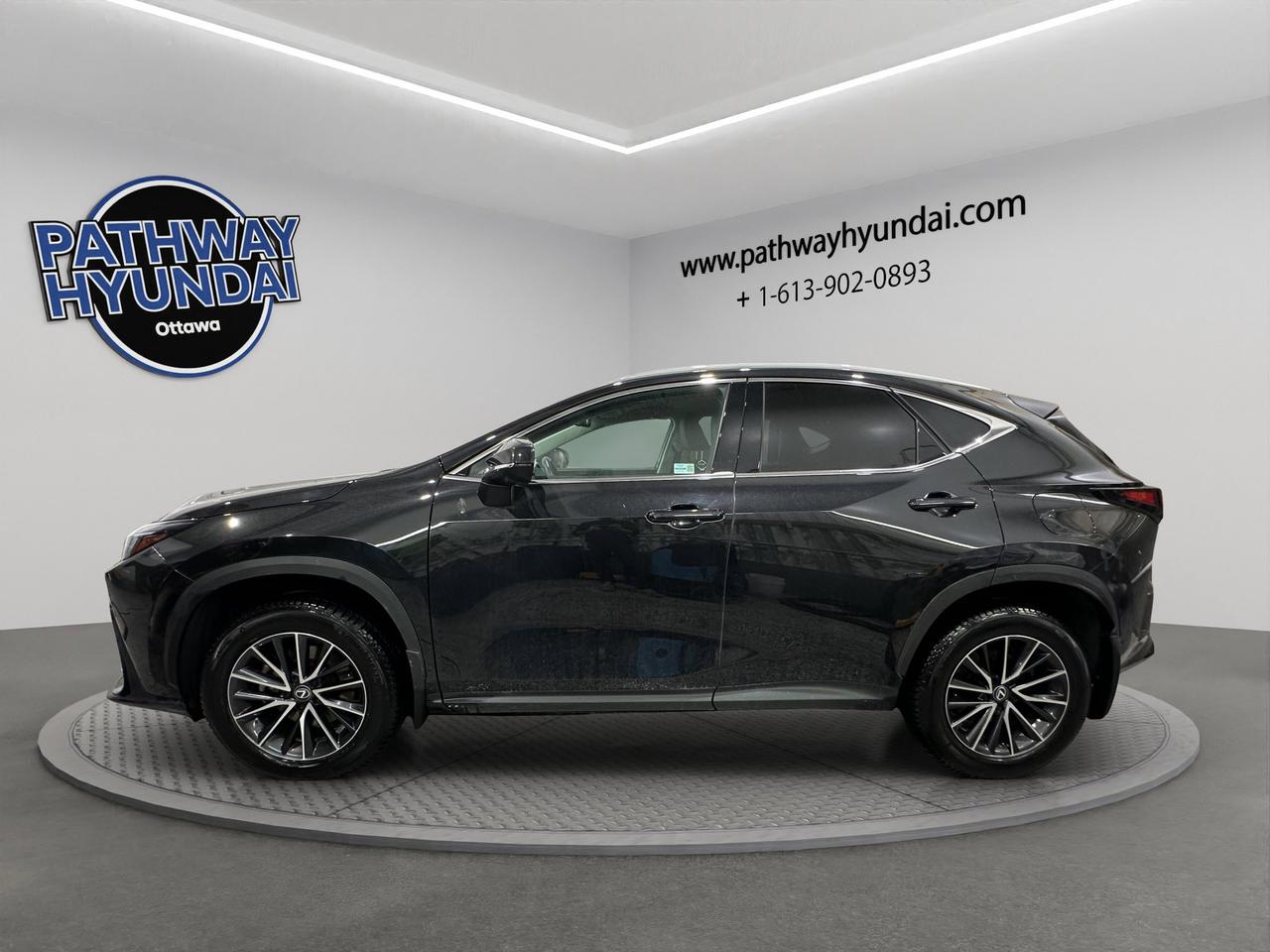 2024 Lexus NX NX 250 | Reverse Cam | Heated Seats Photo